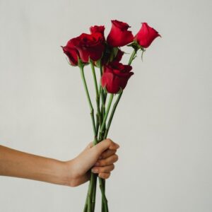 פרחים בהפתעה