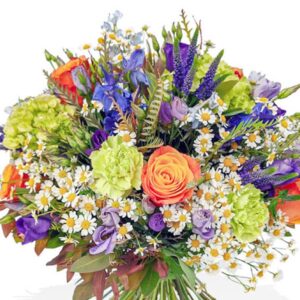 זרים לאירועים