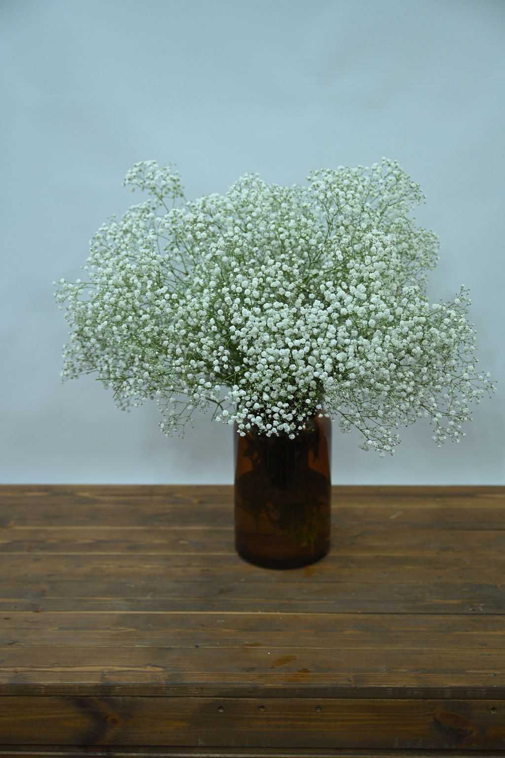 ⁦זר גיבסניות לבן עדין ואלגנטי⁩ – תמונה ⁦3⁩