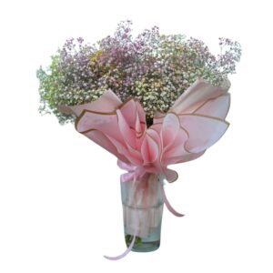 זר גיבסניות צבעוני עם רקע לבן