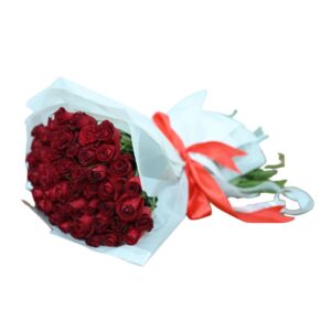 מלכת הורדים אדומים רקע לבן